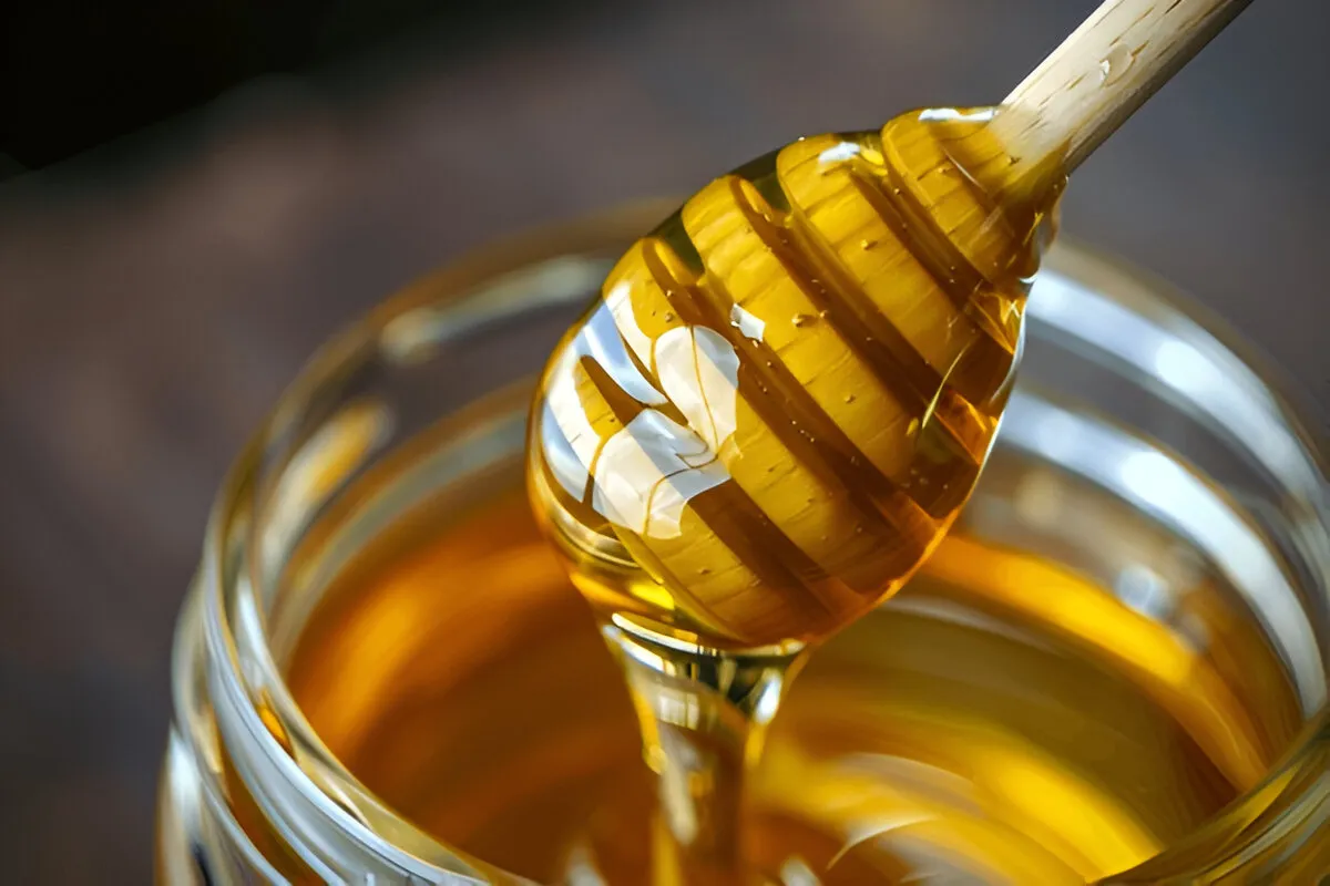 عسل کوهی