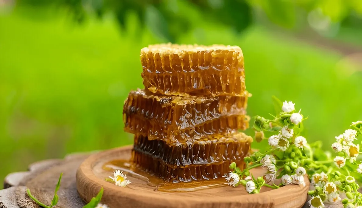 عسل کنار
